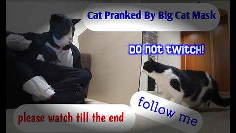 😺 Cat Pranked By Big Cat Mask 🎭😂 please watch till the end video 🙏🙏