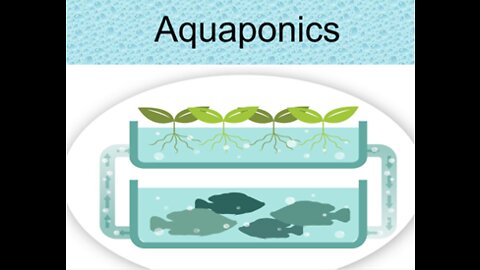 Free Aquaponics Lecture from my Basics of Aquaculture Course