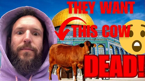 Red Heifer Prophecy PREDICTIONS | EP 118 AMERICAPLUS