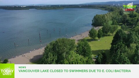 Vancouver Lake closed to swimmers due to E. coli bacteria