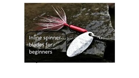 Inline spinner baits for beginners fishing in Patuxent River