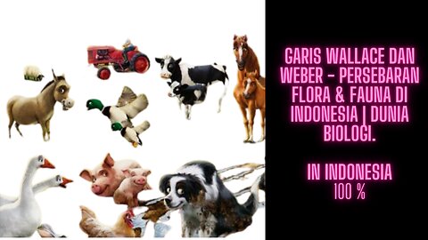 Wallace and Weber Lines - Distribution of Flora and Fauna in Indonesia | The world of biology