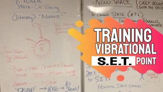 Success in Manifesting IS Training Your Vibration!