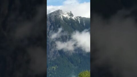 Mt Si, Washington. A Herd of Elk: May 19.2020