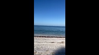 Livestream Replay - Barefoot Beach To Bonita Beach Before Ian 9/23/2022