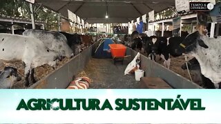 Riza Sementes e Leitepéu AGRO formam parceria para aumentar produtividade de leite @Riza Sementes