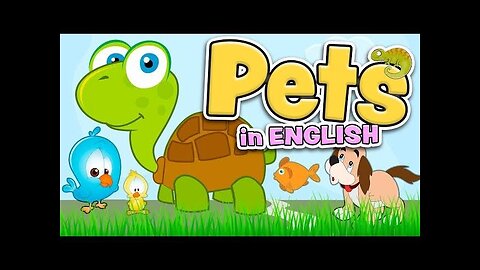 Pet Care Song | CoComelon Nursery Rhymes & Kids Songs