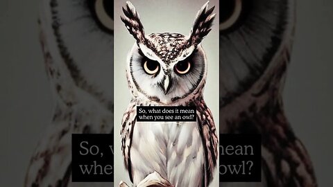 What Does it Mean When You See an Owl #shorts