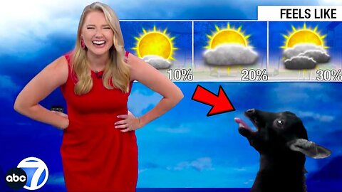 😂 Hilarious News Bloopers July 2023 | Unstoppable Laughter Guaranteed! 🎬🤣