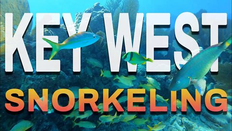 Key West Snorkeling Tour | Key West Florida