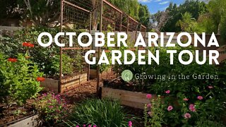 October 2021 ARIZONA GARDEN TOUR - plus BEFORE and AFTER - Growing in the Garden
