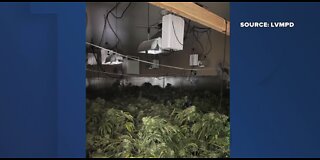 House fire leads to bust of residential marijuana grow in Las Vegas