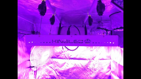 KingLED Newest 2000w LED Grow Lights with LM301B LEDs and 10x Optical Condenser 5x5 ft Coverage...