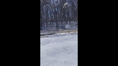 Skiing in the backyard