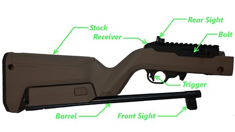 AmbGun 10/22 Takedown Build - Full Review