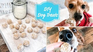 No Bake Snowball Dog Snacks - How to make DIY DOG TREATS