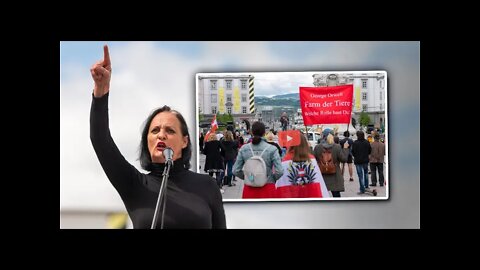 Corona-Demo in Linz: Unternehmer fordern Rücktritt von Kanzler Kurz