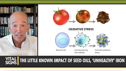 Are Vegetable Oils Killing Us We Swapped Them in for Animal Fats 50 Years Ago