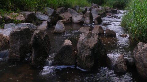 The murmur of a stream. Nature sounds for relaxation, sleep, meditation