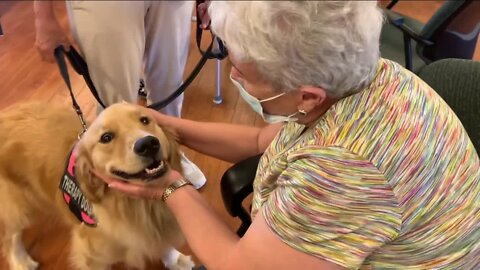 Lilo the therapy dog visits a senior center in Pinellas