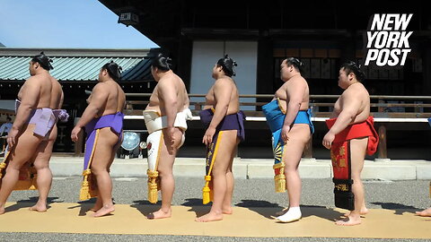 Sumo wrestler group too heavy to fly, airline books them own 'special flights'