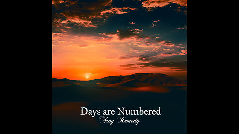 Troy Remedy - Days are Numbered