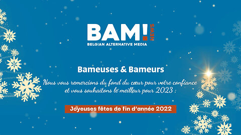 Parce que... le film des BAMiS