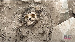 Ancient mummy found under rubbish dump in Peru