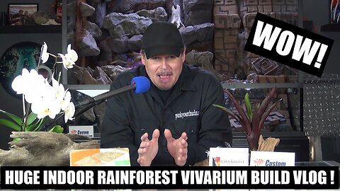 Huge Indoor Rainforest Vivarium! 750 Gallons by volume!