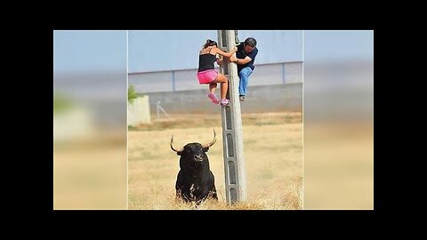 Funniest Fails Of The Year Compilation | Hilarious Bloopers & Mishaps | HD