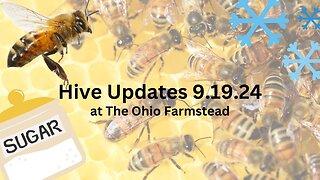 Hive Updates 9.19.24