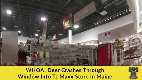 WHOA! Deer Crashes Through Window Into TJ Maxx Store in Maine