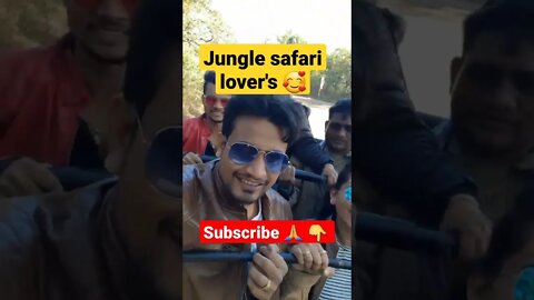 Jungle safari lover's 🥰😜❤❤#junglesafari #shorts #aartishaileshvlogs #subscribe #viralvideo