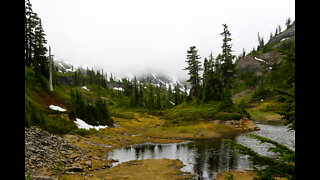 Mt Baker National Recreation Area, Bellingham WA