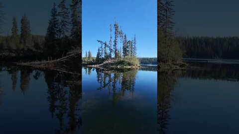 Niklen Lake West Recreational Site #camping #explore #fyp #adventure #BritishColumbia #Canada