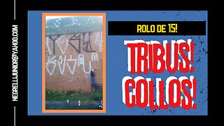 TRIBUS ro COLLOS clo Pixando de dia Rolinho de 15 nos taquinhos 2023