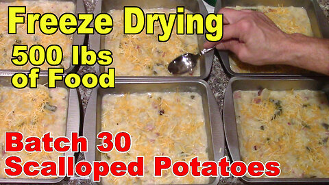 Freeze Drying Your First 500 lbs of Food - Batch 30 - Scalloped Potatoes