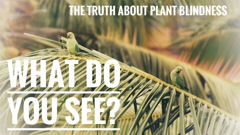 WHAT IS PLANT BLINDNESS? WHY DOES IT MATTER? HOW DEADLY CAN IT BE? | Gardening in Canada 👻☠️
