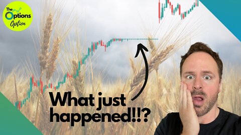 When the Market Stops Working - Wheat Panic & Financial Panic