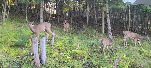 Morning Gathering