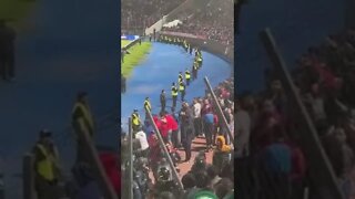 Torcedor do Cerro Porteño é flagrado imitando macaco para torcida do Palmeiras;