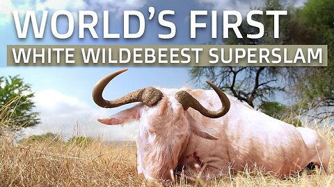 White Wildebeest Ultimate Super Slam: Worlds First