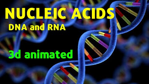 Nucleic acids 3D animated structure function and its types | DNA | RNA | in urdu/hindi