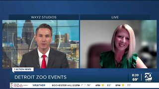 Family fun summer events at the Detroit Zoo