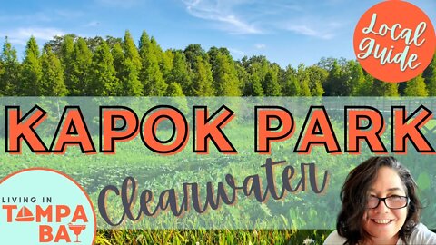 Kapok Park 🐢 🌳 | Clearwater, FL | A Cinematic Tour🎥