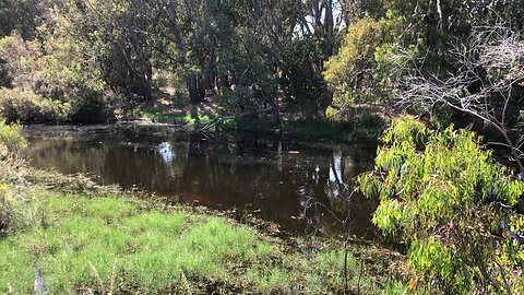 Australia’s nature is second to none🙌🇦🇺🙌