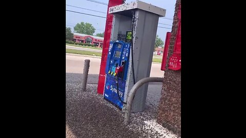 WTH!? 😮 Macomb County, Michigan: Fishflies Hatched & Taking Over Gas Pumps, Lights, and Homes.