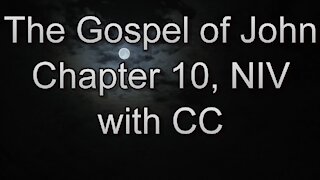 The Holy Bible - The Gospel of John Chapter 10 (Audio Bible - NIV)