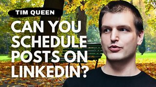Can you schedule posts on LinkedIn? | Tim Queen