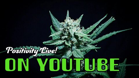 The BUDZ Come To YouTube LIVE!